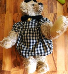 theodora bear view